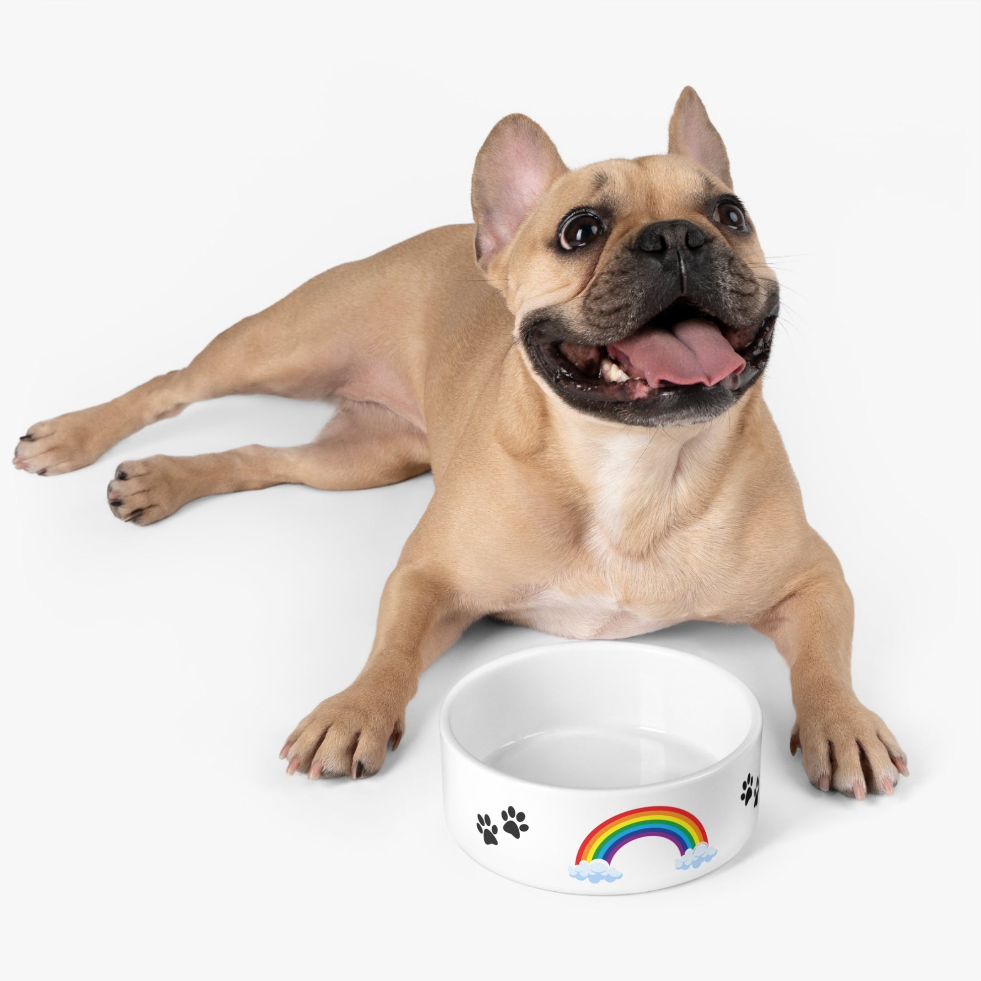 O'ahu Surf Company Rainbow Pride Pet Food Bowl - O'ahu Surf Company